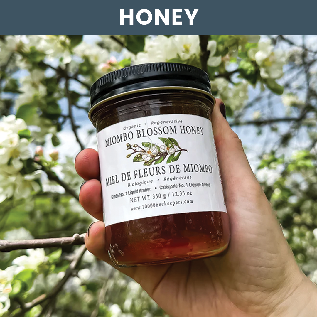 Lifestyle image of a jar of honey being held by a hand, trees in background